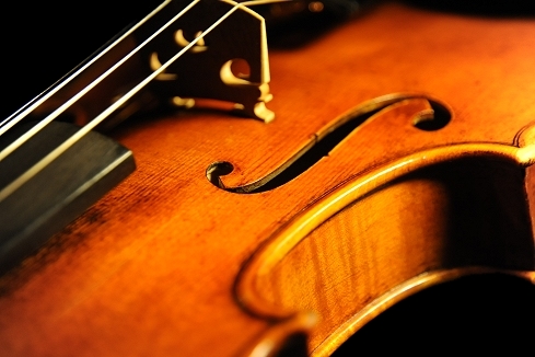 ダリオ アグッツィ バイオリン イタリア