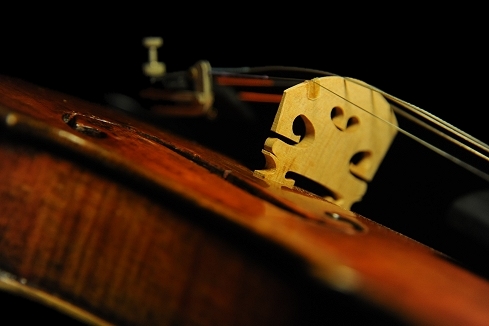 Enzo Bertelli Label Violin MAGICO }WR