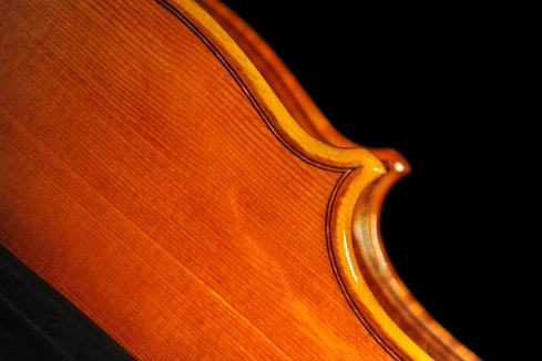 Grisales Cremona MAGICO Violin