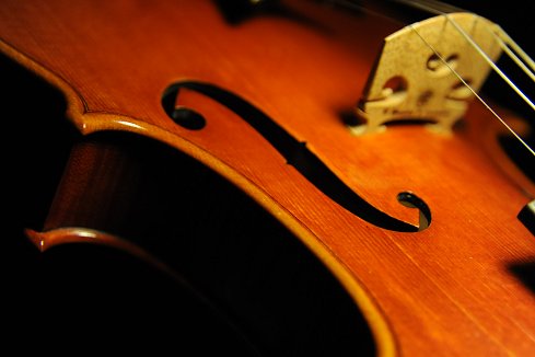 Grisales Cremona MAGICO Violin