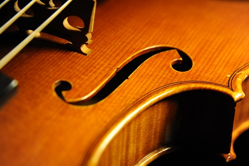 Antonio Capela Violin ポルトガル MAGICO