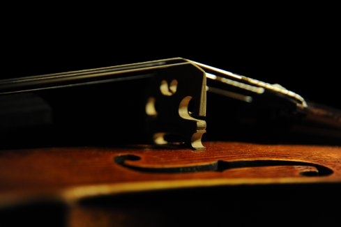 Cremona MAGICO Violin Tokyo