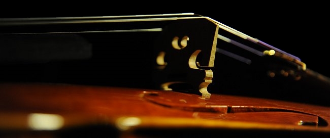 Violin Japan MAGICO