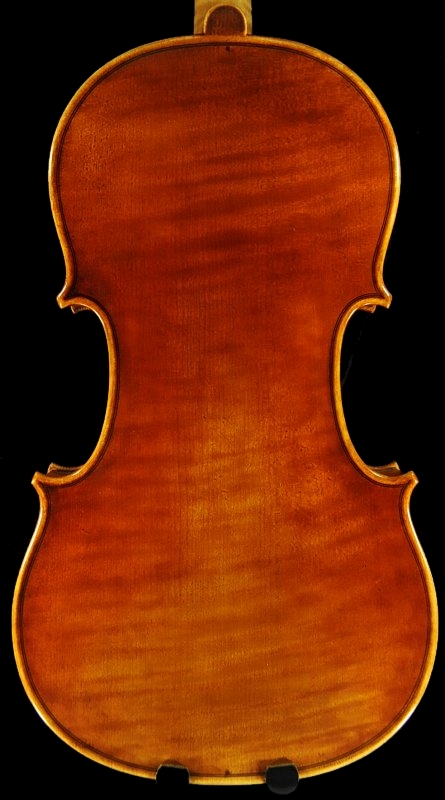 Andrea Schudtz Violin Ni MAGICO