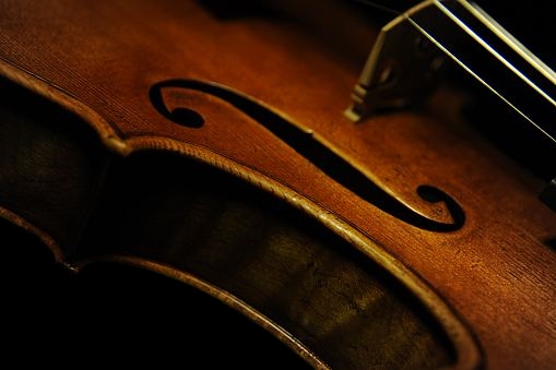 Tonarelli Violin Cremona Italy