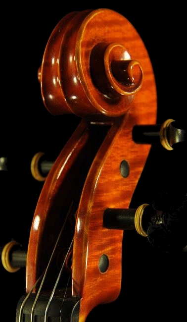 Grisales Violin Cremona MAGICO