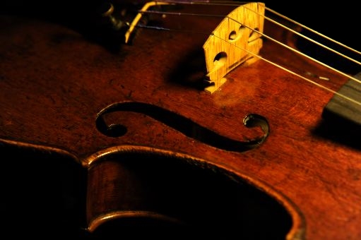 Old Violin MAGICO