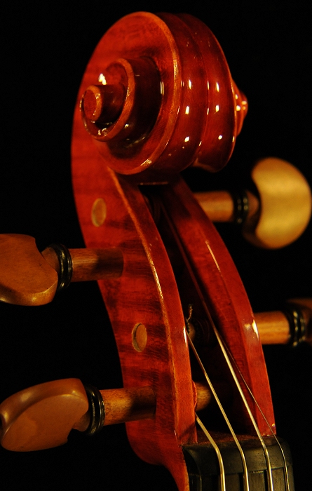 Federico Fiora Cremona Violin