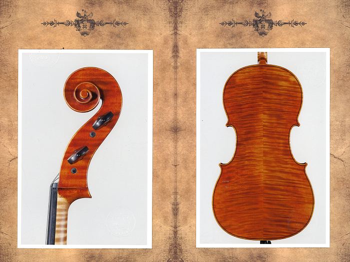 証明書 Cello ITALY MAGICO