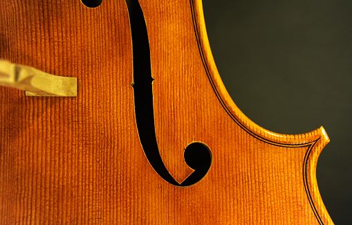 Schudtz Cello クレモナ MAGICO