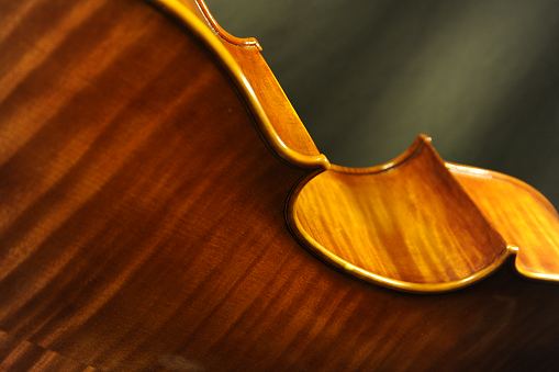 Schudtz Cello クレモナ MAGICO