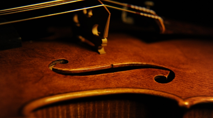 MAGICO Violin Ni