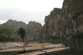 �o�C�I���� �k�� �}�W�R