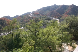 �o�C�I���� �k��