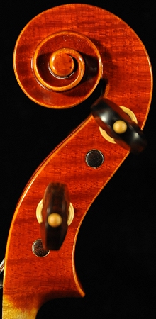 �f�B�r�A�b�W�� �o�C�I����