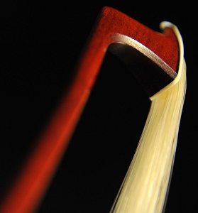 Guillaume Bow �o�C�I���� �| �����h