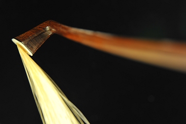 �t�����\�� ���b�e �`�F�� �| �t�����X