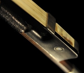 Lotte Francois Cello �| France