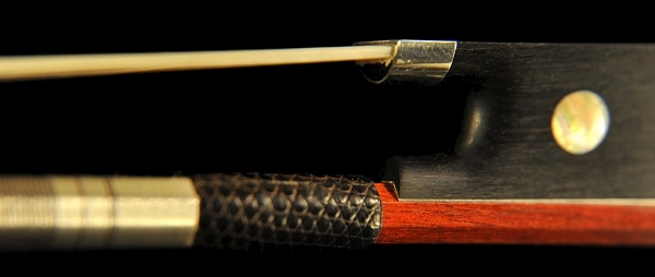 �M���[�� �| violin Gold