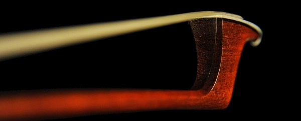 �M���[�� �| violin Gold