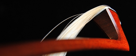 �M���[�� �| violin Gold ���ׂ��b ꈍb