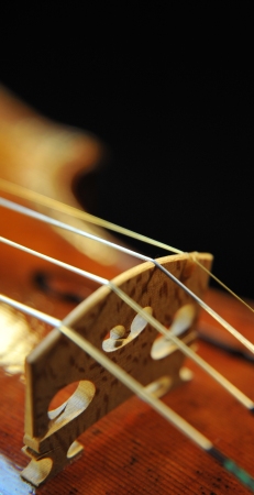 Tonarelli �o�C�I���� �C�^���A �N�����i