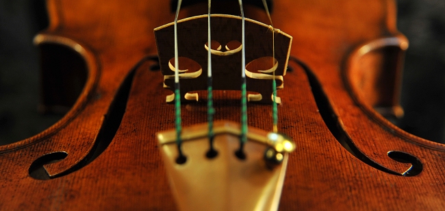 Tonarelli �o�C�I���� �C�^���A �N�����i