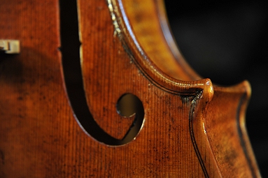 Tonarelli �o�C�I���� Violin Cremona