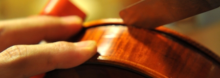 �o�C�I�����C�� �j�J�� �P