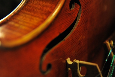 �g�i���b�� �C�^���A �o�C�I����