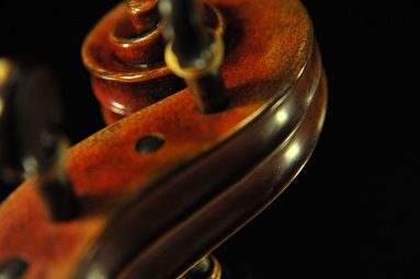 �g�i���b�� �C�^���A �o�C�I����