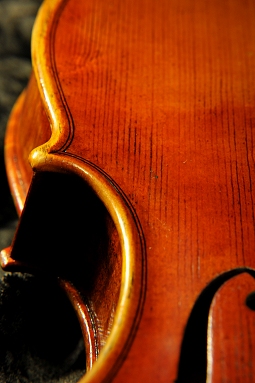 Tonarelli �N�����i �o�C�I����