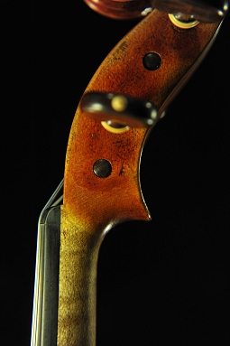 �g�i���b�� �C�^���A �o�C�I����