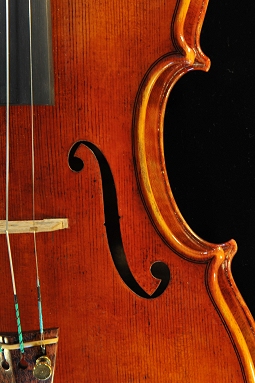 Tonarelli �N�����i �o�C�I����