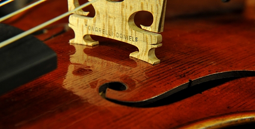 Tonarelli �N�����i �o�C�I����