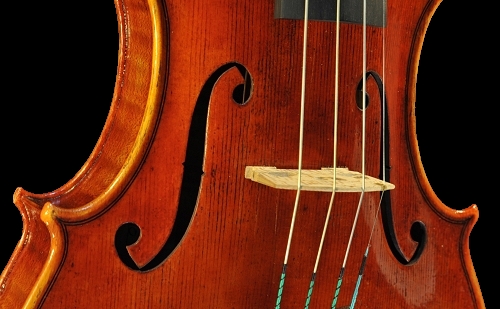 �g�i���b�� �C�^���A �o�C�I����