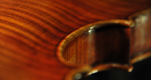 Tonarelli �N�����i �o�C�I����