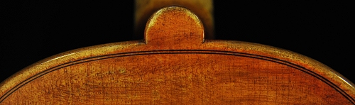 �g�i���b�� �C�^���A �o�C�I����