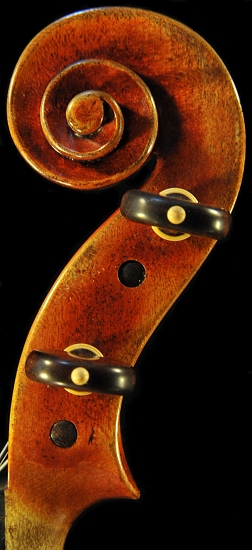 �g�i���b�� �C�^���A �o�C�I����