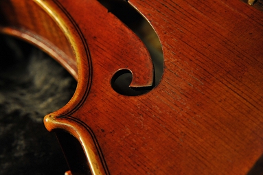 Tonarelli �N�����i �o�C�I����