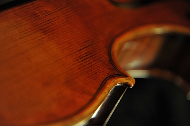 �g�i���b�� �C�^���A �o�C�I����