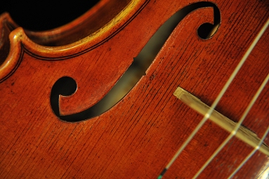 Tonarelli �N�����i �o�C�I����