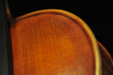 �g�i���b�� �C�^���A �o�C�I����