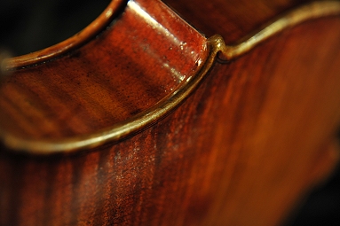 Tonarelli �N�����i �o�C�I����