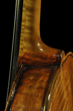 �K���A�[�m �C�^���A �o�C�I����