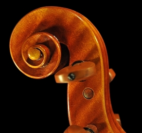 �O���U���X �C�^���A �o�C�I����