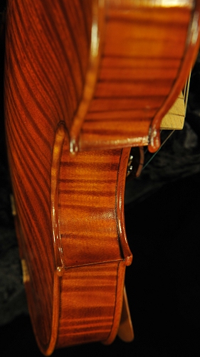 �O���U���X �C�^���A �o�C�I����