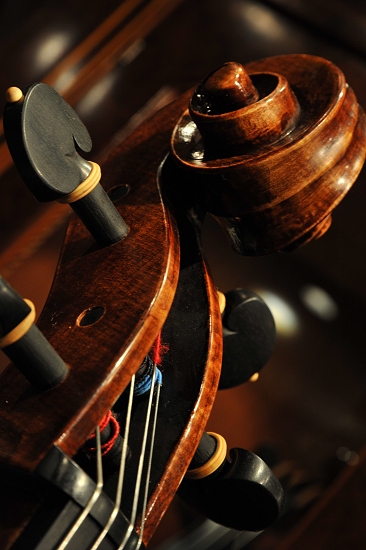 �m�b�� �N�����i �`�F��