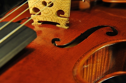Grisales Violin �N�����i