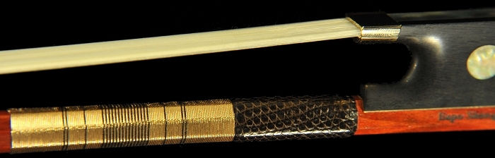 Guillaume Bow �o�C�I���� EXPO �����h